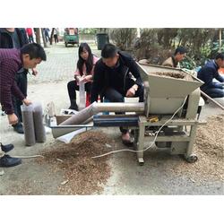 食用菌菌種產業與貿易全景解析 從設備技術到國際流通