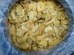 漳州順榮進出口貿易 打造食用菌全產業鏈的國際橋梁