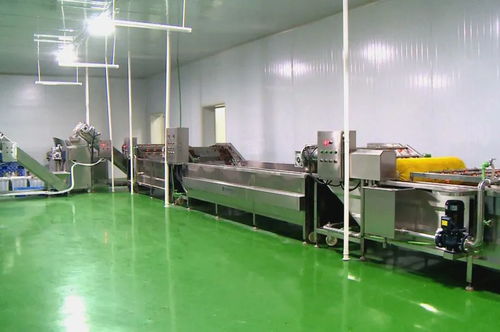 筑巢引鳳添動(dòng)力，招商引資促發(fā)展 譜寫食用菌菌種進(jìn)出口產(chǎn)業(yè)新篇章