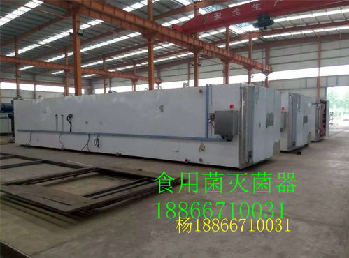 公司黑木耳方形高壓蒸汽滅菌器高清圖片及食用菌菌種進出口解析